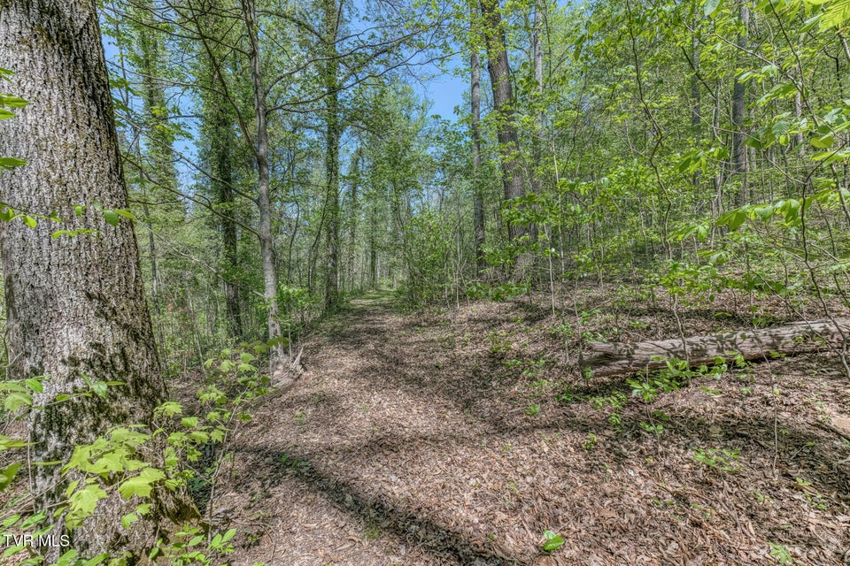 Photo #10: Tbd Havenmore Drive