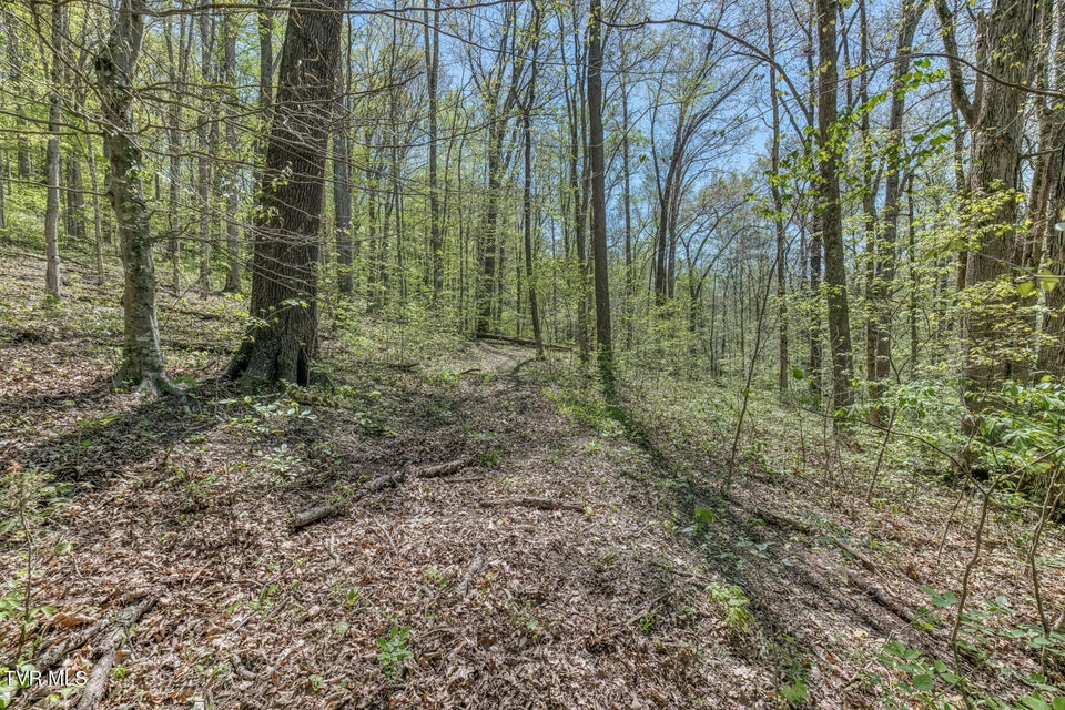 Photo #11: Tbd Havenmore Drive