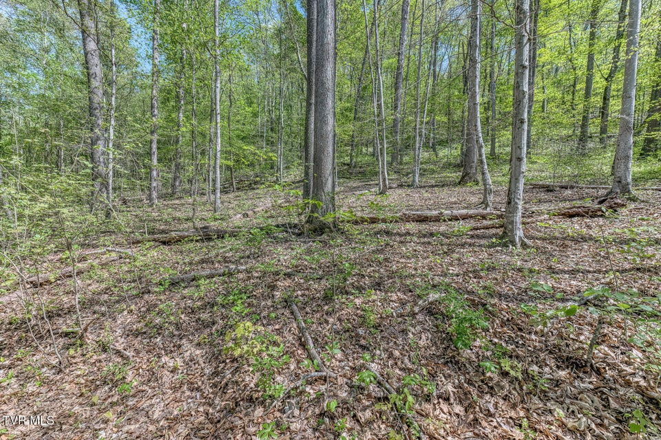 Photo #12: Tbd Havenmore Drive