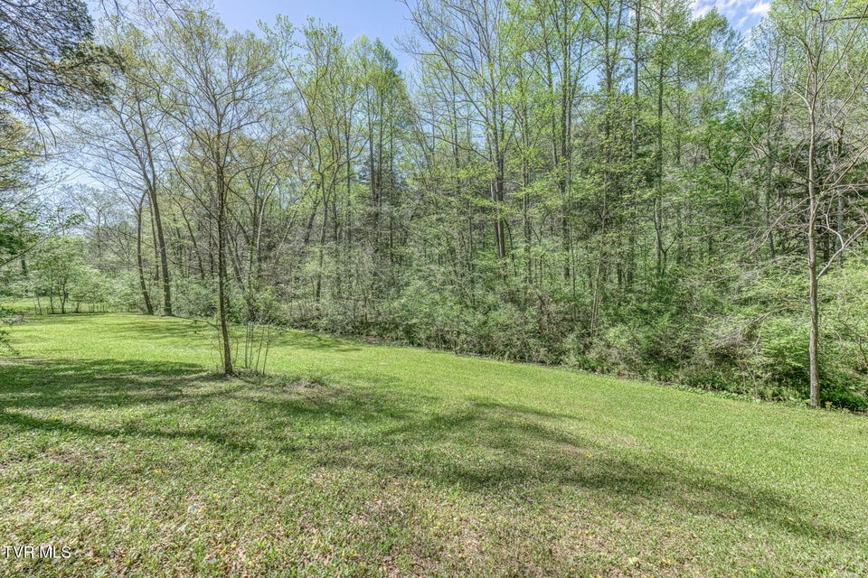 Photo #14: Tbd Havenmore Drive