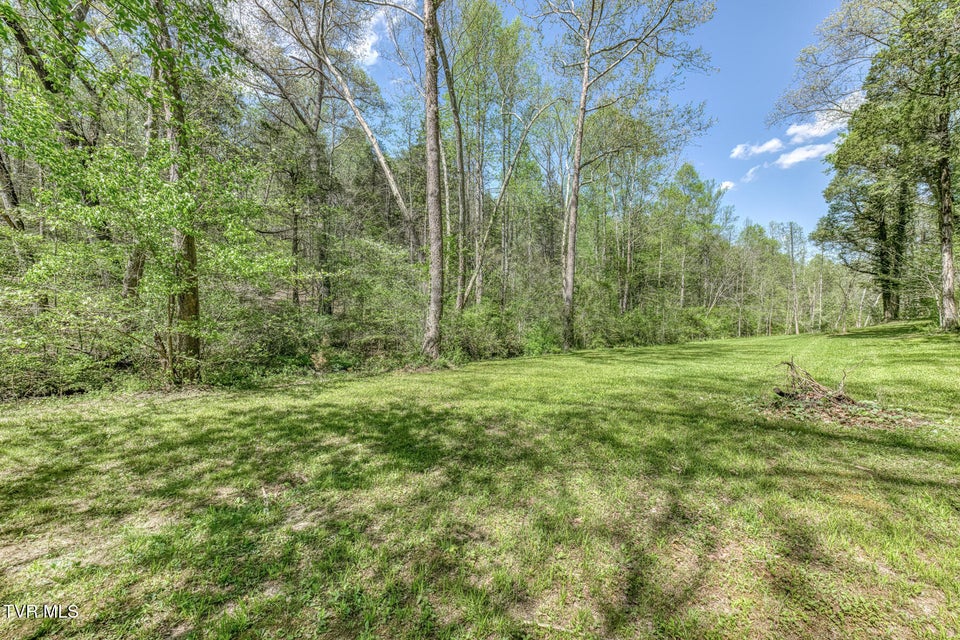 Photo #15: Tbd Havenmore Drive