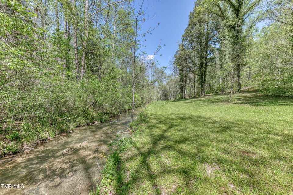 Photo #16: Tbd Havenmore Drive