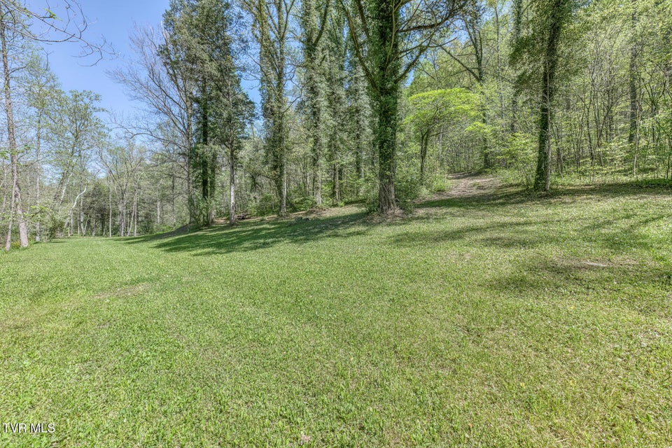 Photo #17: Tbd Havenmore Drive