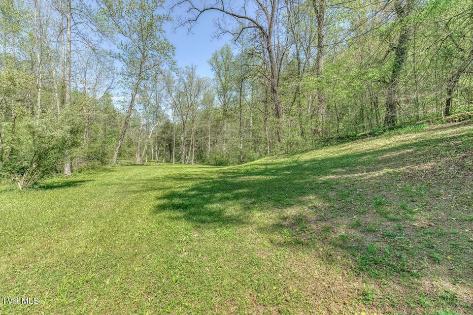 Photo #18: Tbd Havenmore Drive