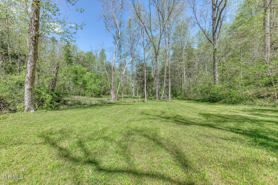 Photo #19: Tbd Havenmore Drive