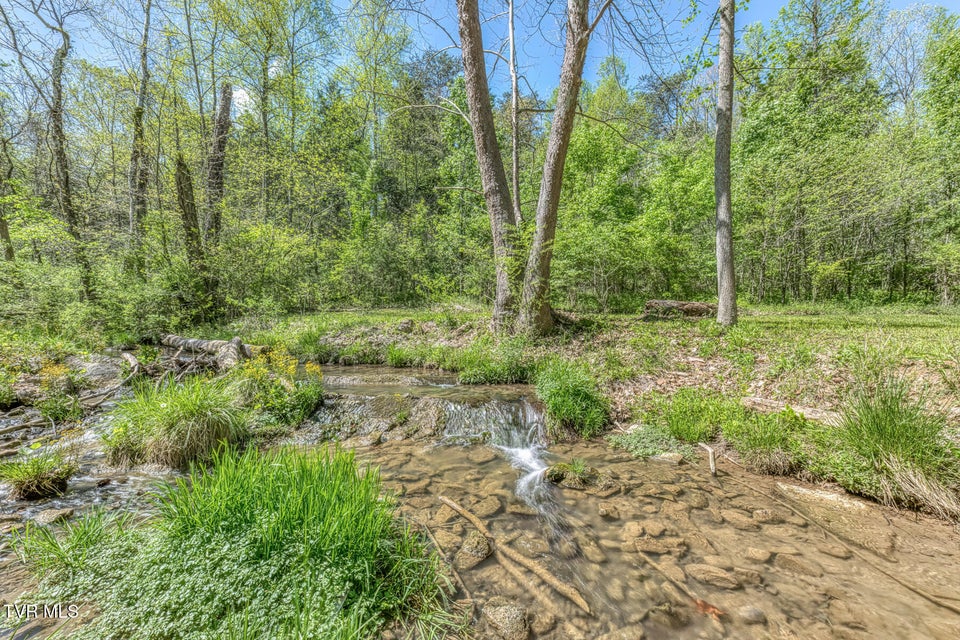 Photo #20: Tbd Havenmore Drive