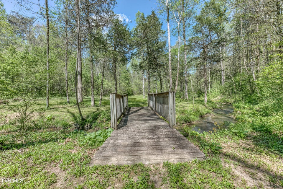 Photo #21: Tbd Havenmore Drive