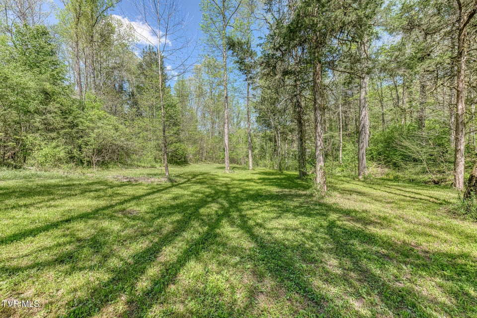 Photo #22: Tbd Havenmore Drive