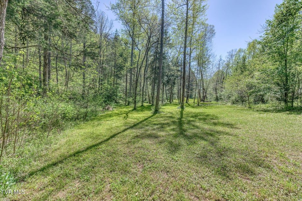 Photo #23: Tbd Havenmore Drive