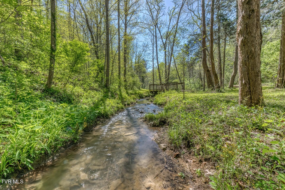 Photo #24: Tbd Havenmore Drive