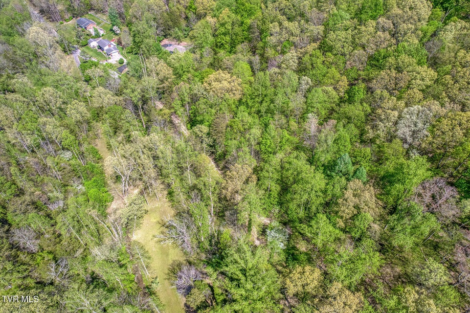 Photo #26: Tbd Havenmore Drive