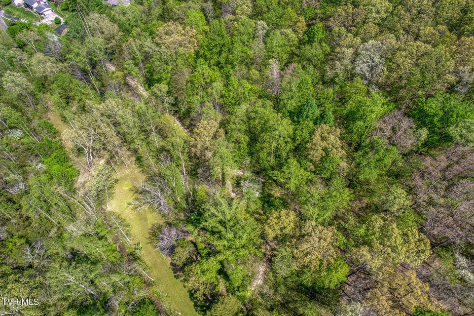 Photo #27: Tbd Havenmore Drive