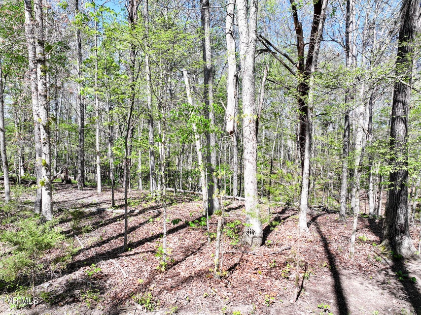 Photo #46: 1540 Luther Memorial Road