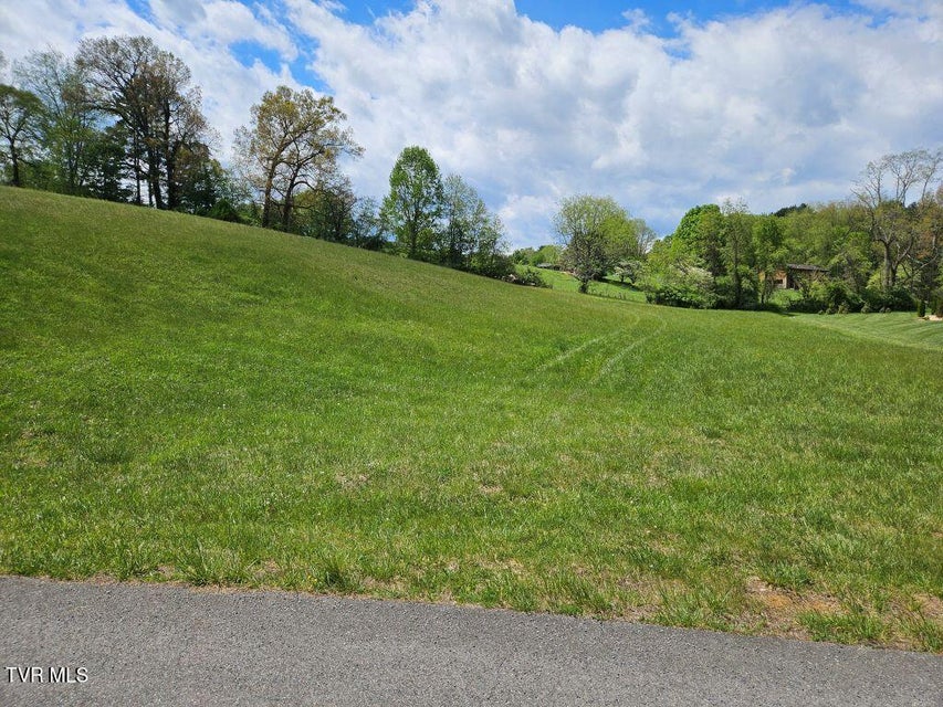 Photo #11: Lot 119 Yeary Trail