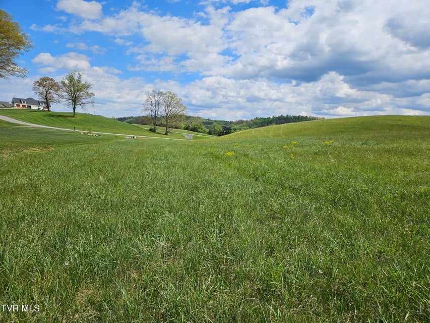 Photo #3: Lot 119 Yeary Trail