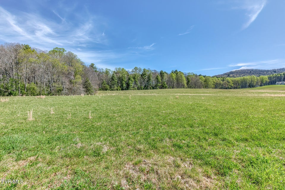 Photo #48: 1650 Sluder Road