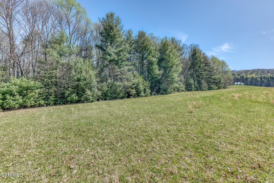 Photo #52: 1650 Sluder Road