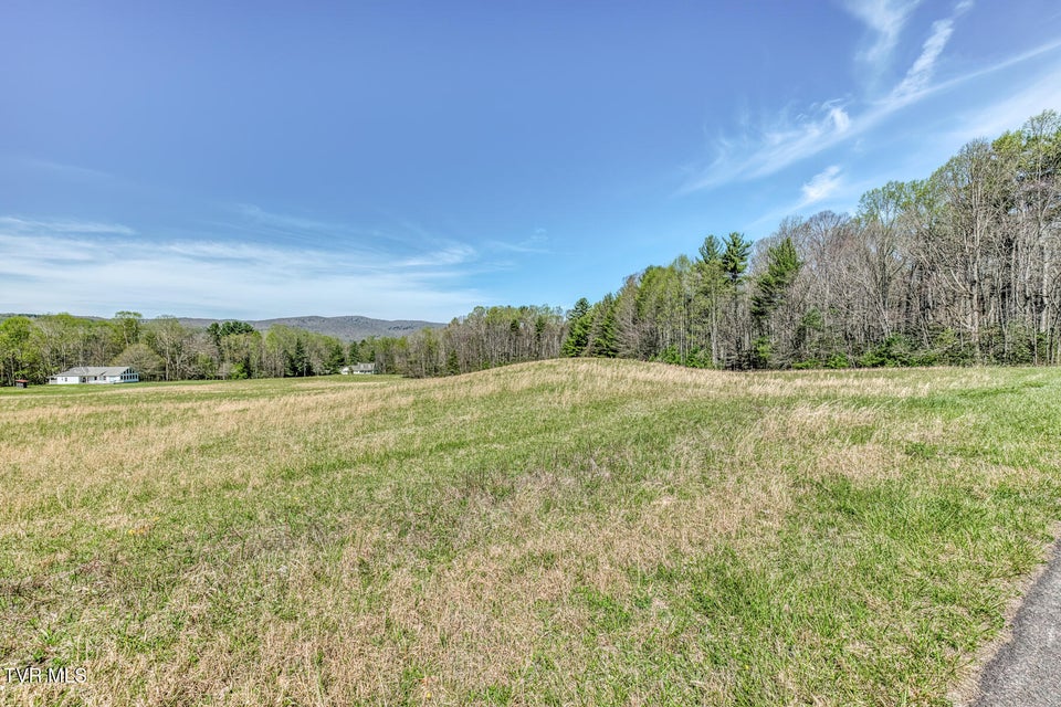 Photo #59: 1650 Sluder Road