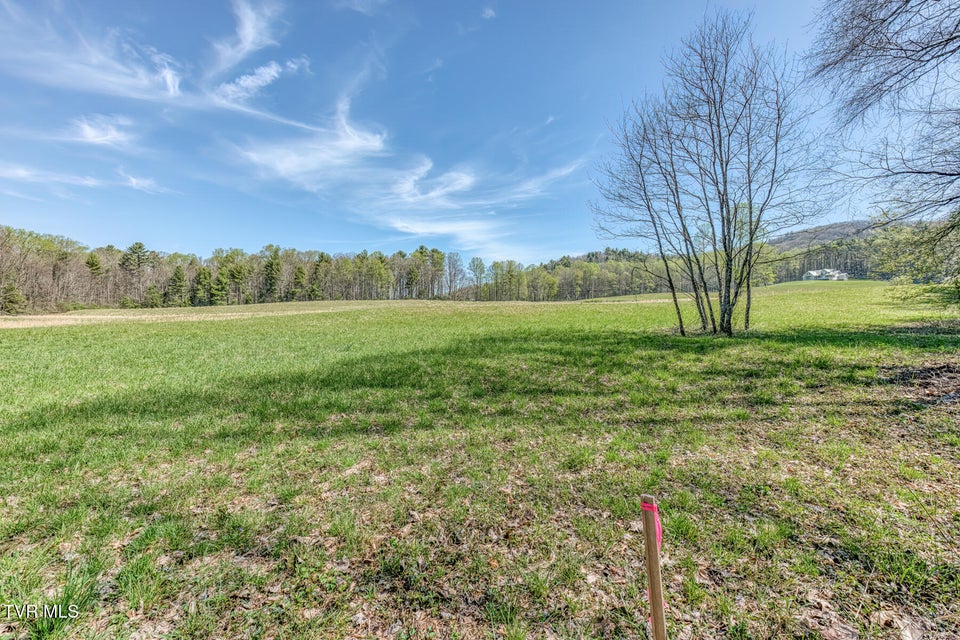 Photo #66: 1650 Sluder Road