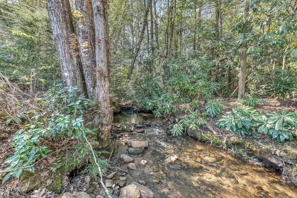 Photo #77: 1650 Sluder Road