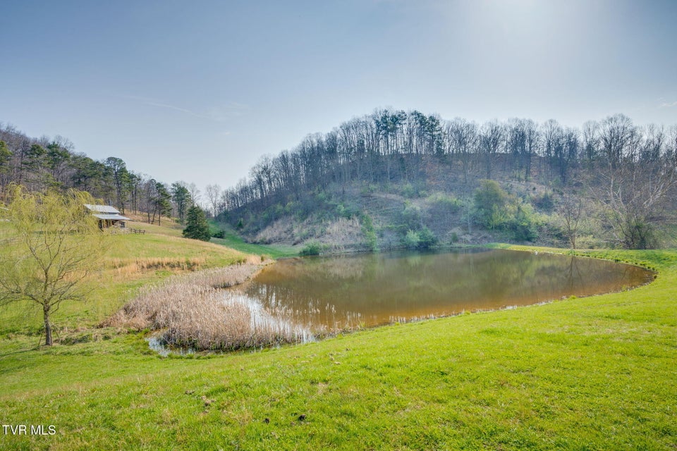 Photo #34: 341 Hawk Drive