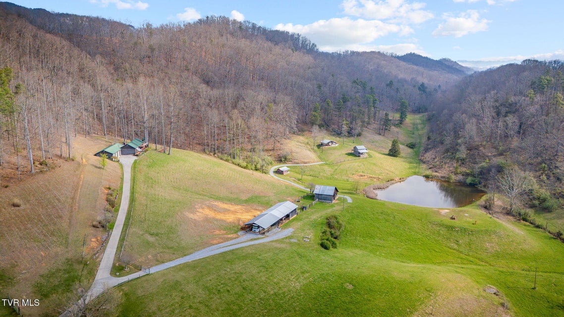 Photo #58: 341 Hawk Drive