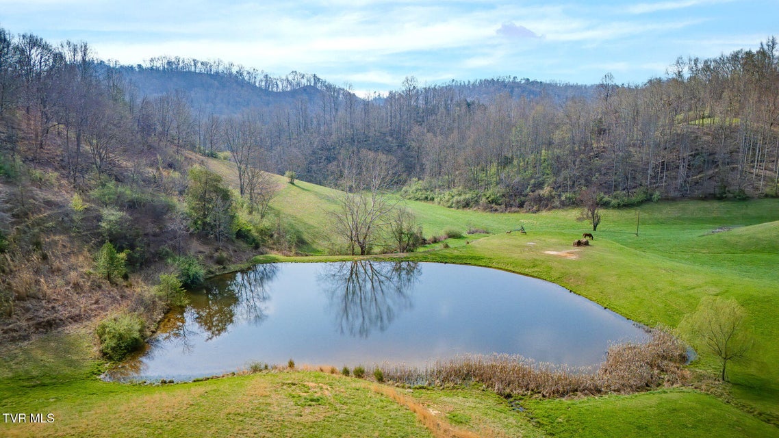 Photo #63: 341 Hawk Drive