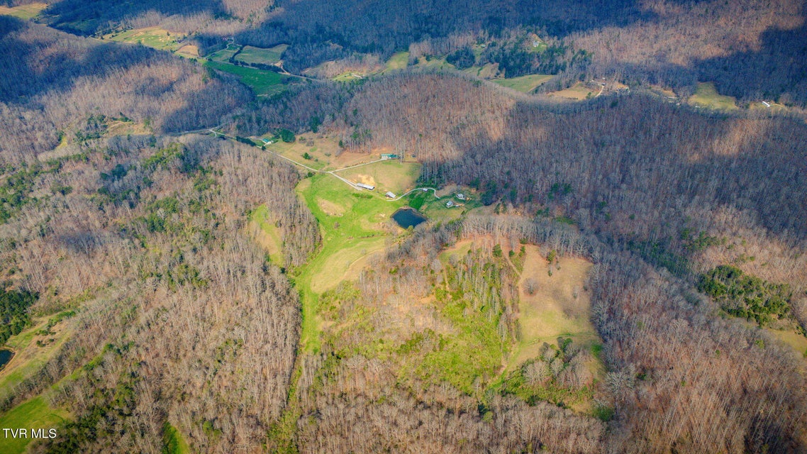 Photo #66: 341 Hawk Drive