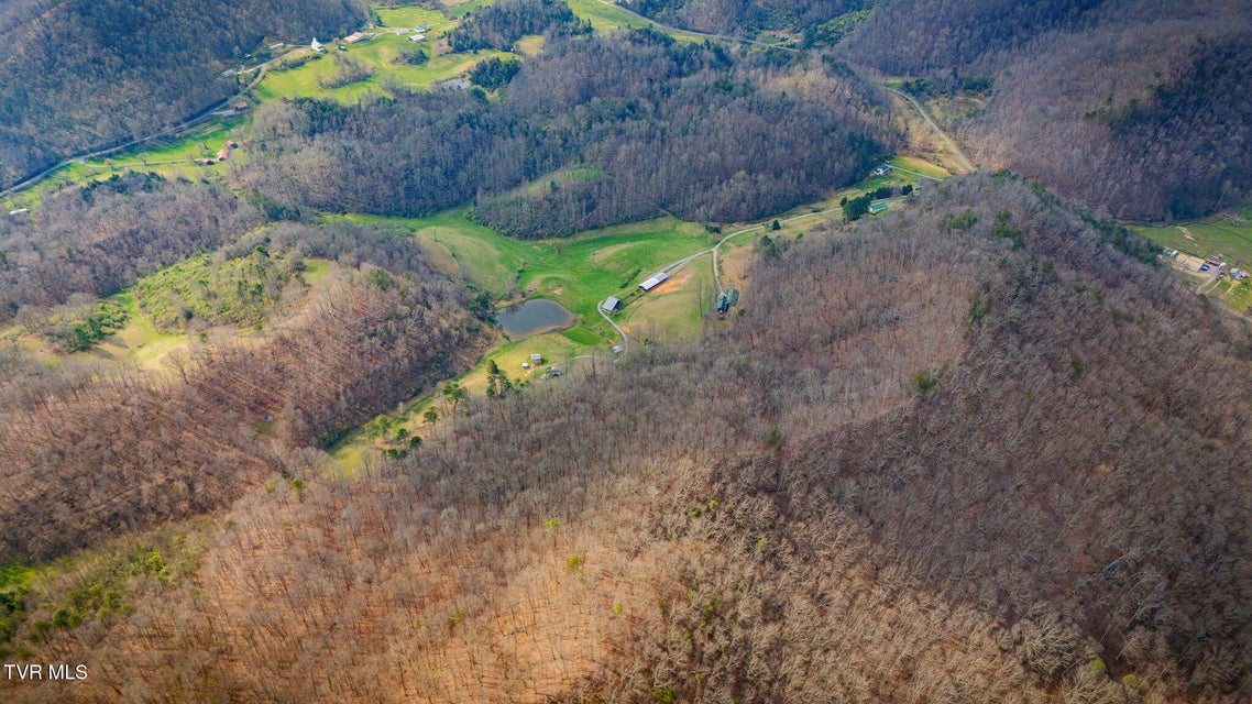 Photo #73: 341 Hawk Drive