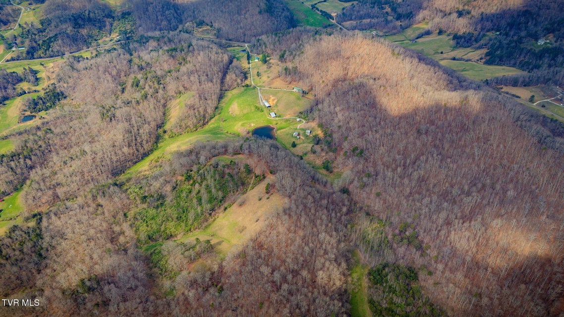 Photo #76: 341 Hawk Drive