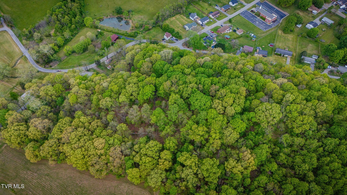 Photo #11: 218 Bridwell Heights Road