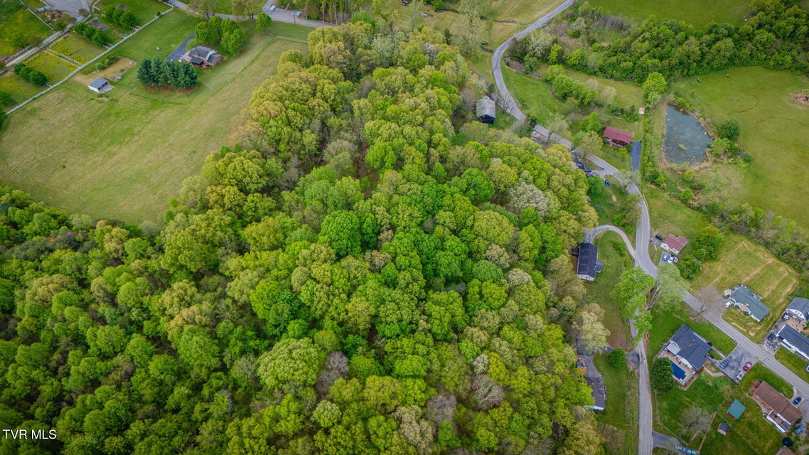 Photo #12: 218 Bridwell Heights Road