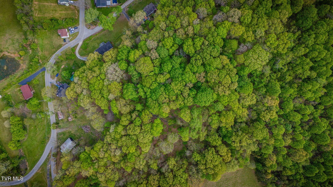 Photo #16: 218 Bridwell Heights Road