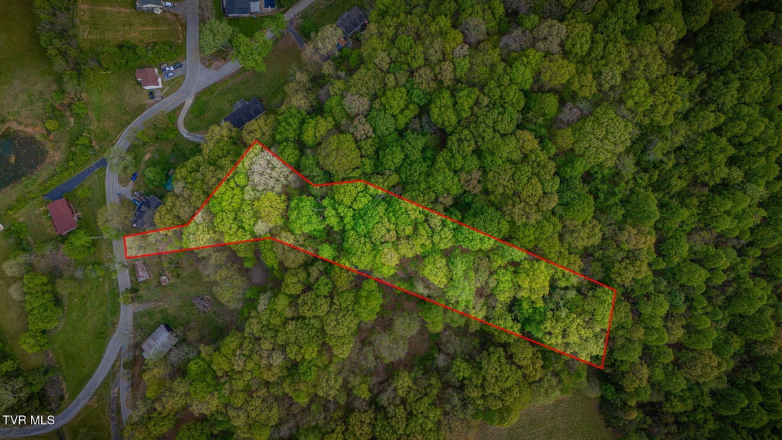 Photo #17: 218 Bridwell Heights Road