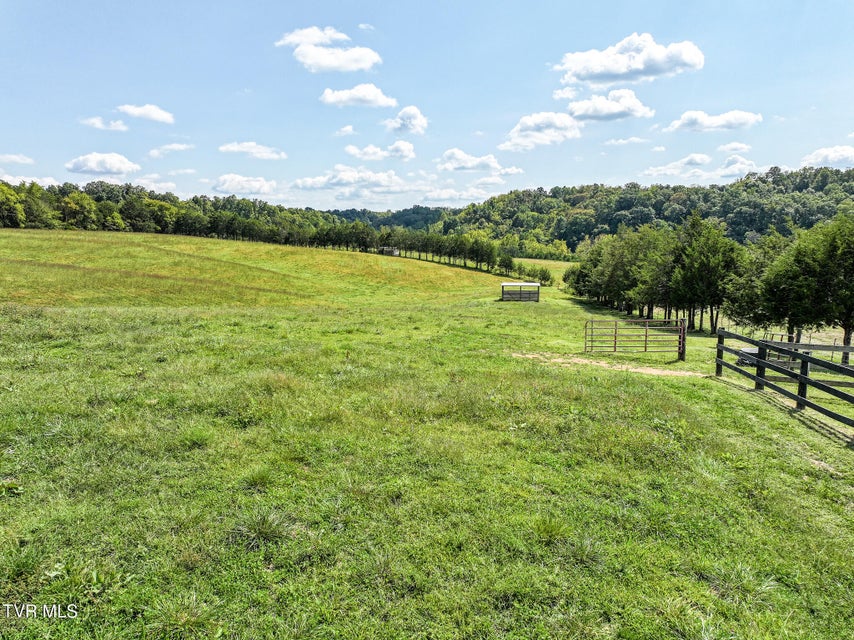 Photo #51: 1375 Union Road