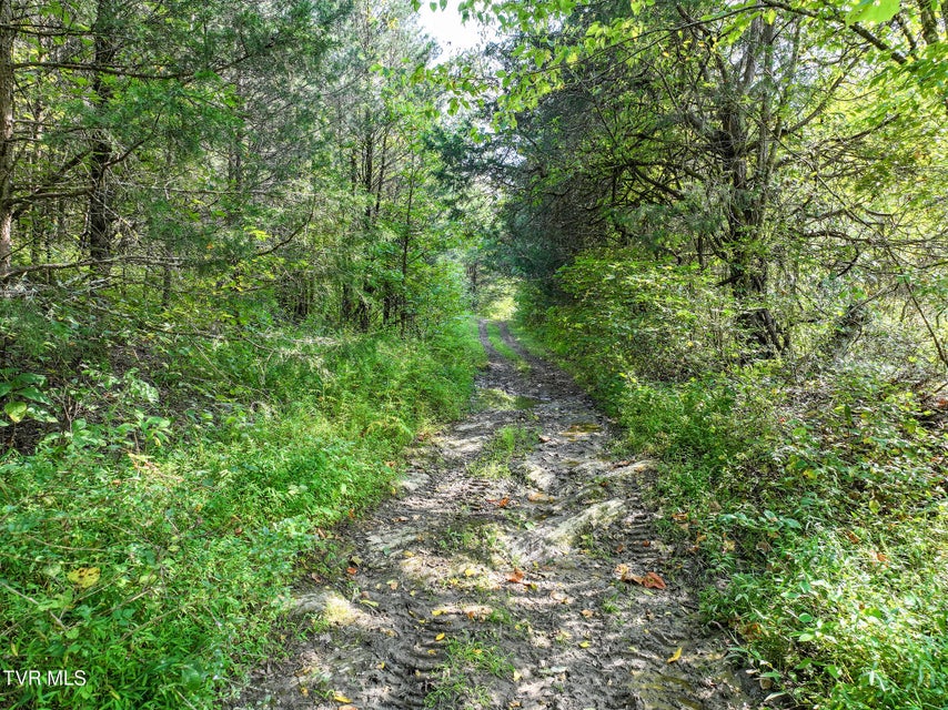 Photo #55: 1375 Union Road