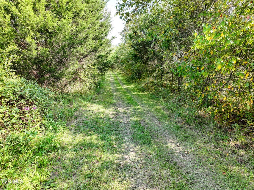 Photo #56: 1375 Union Road