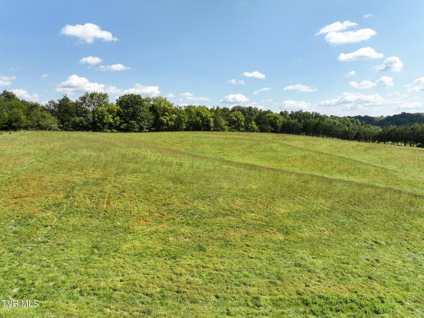 Photo #57: 1375 Union Road