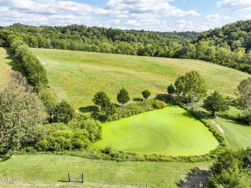 Photo #62: 1375 Union Road