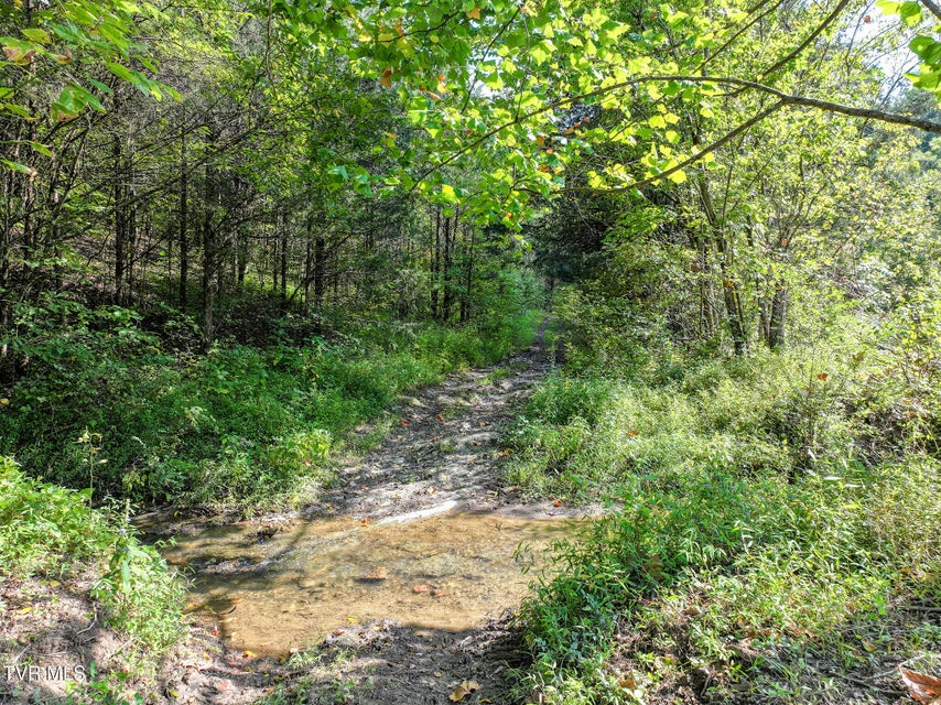 Photo #66: 1375 Union Road