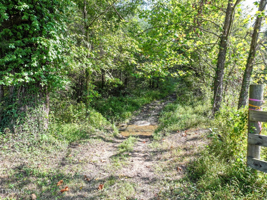 Photo #67: 1375 Union Road