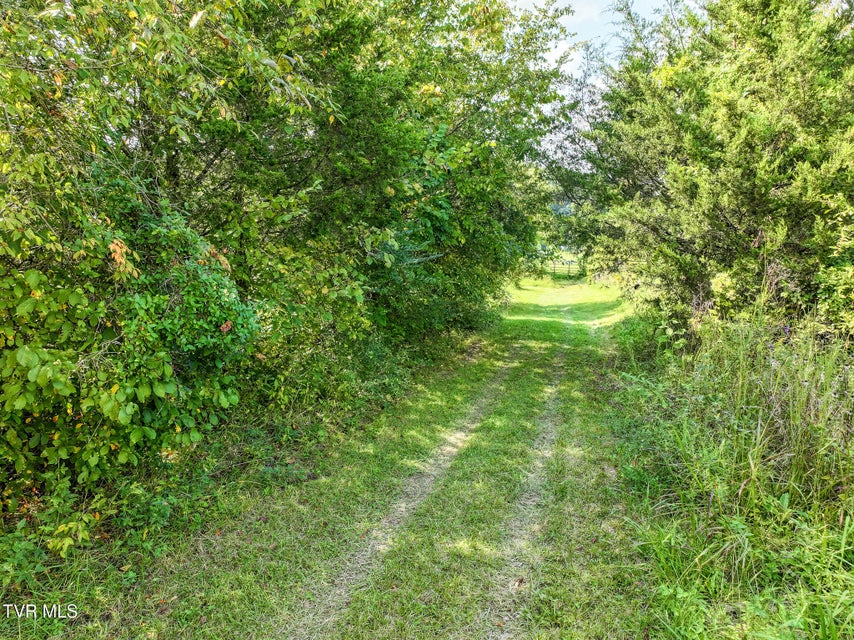 Photo #68: 1375 Union Road