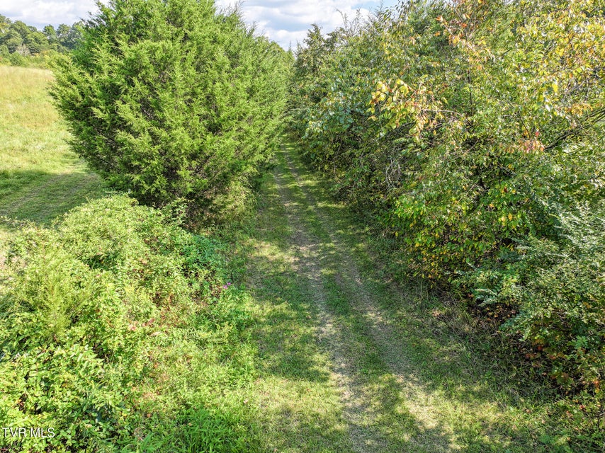 Photo #69: 1375 Union Road