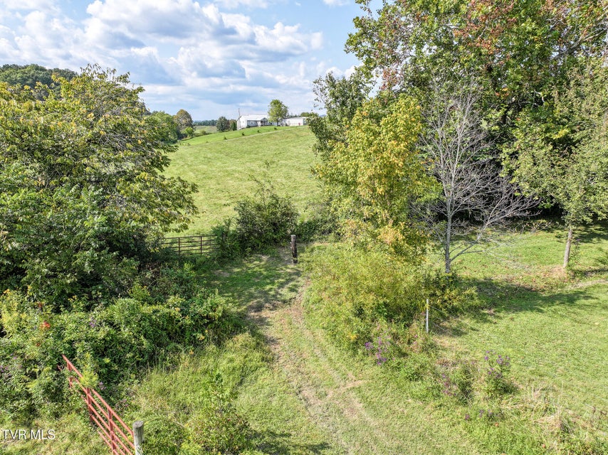 Photo #70: 1375 Union Road