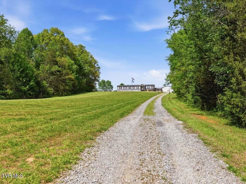 Photo #51: 350 107 Cutoff 