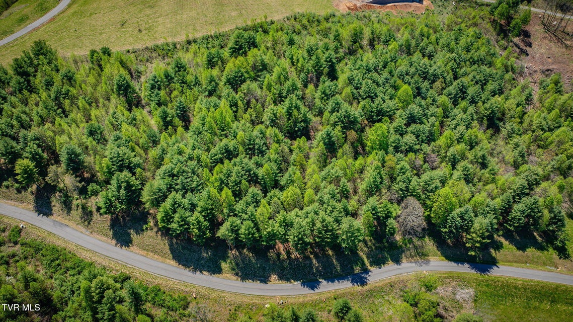 Photo #14: Lot 11 Cowan Town Road