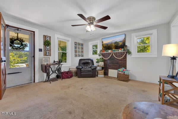 Photo #5: 313 Richards Lane