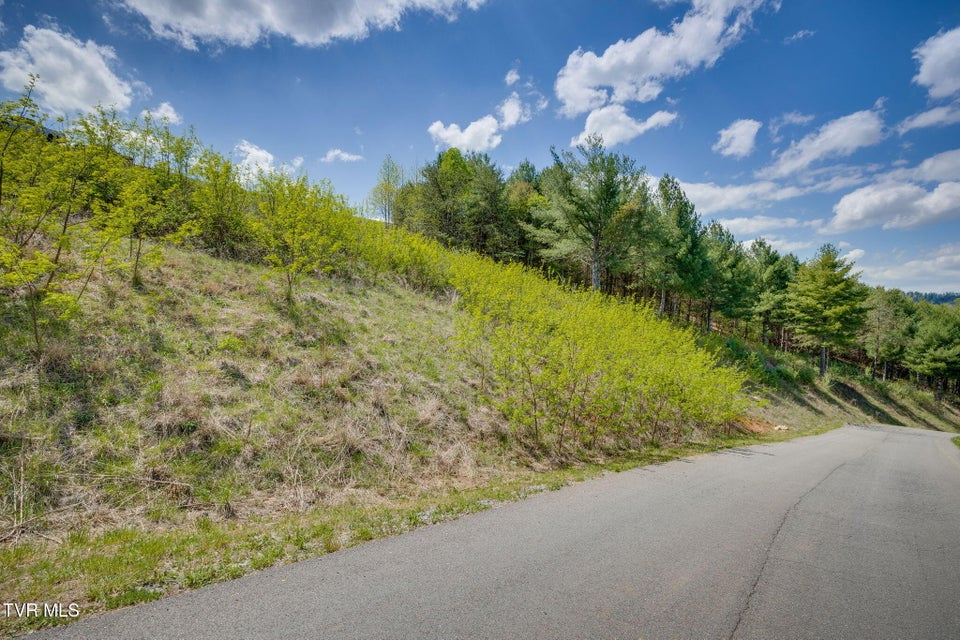 Photo #37: Lot 11 Cowan Town Road