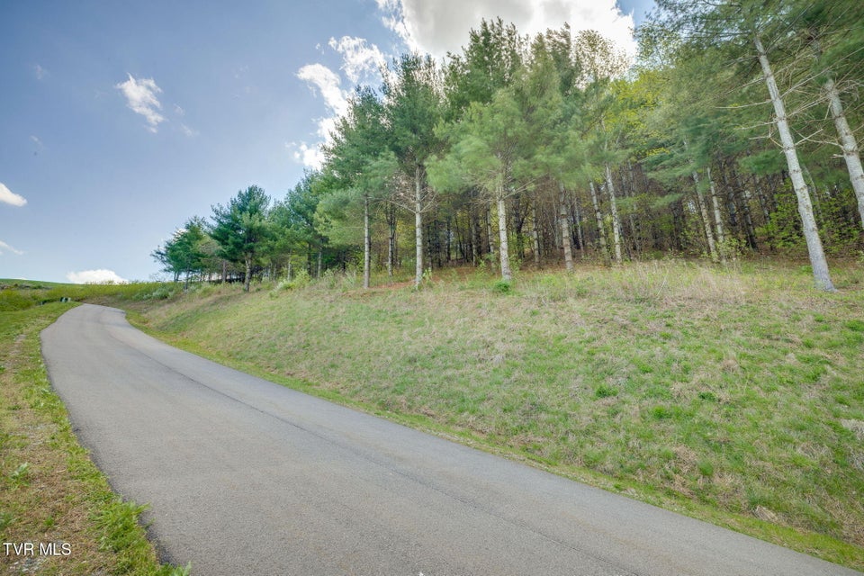 Photo #12: Lot 11 Cowan Town Road