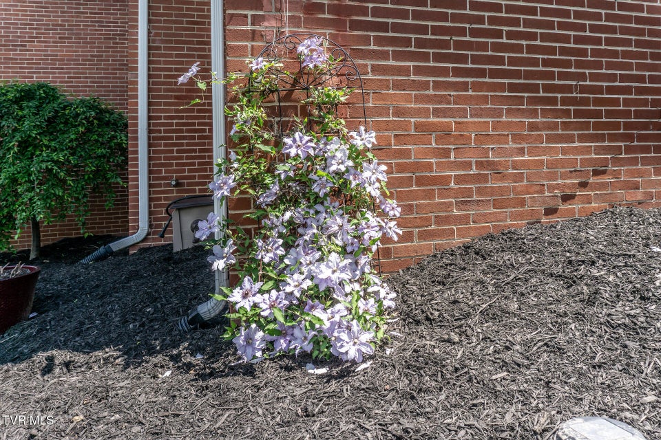 Photo #46: 205 Sevier Avenue